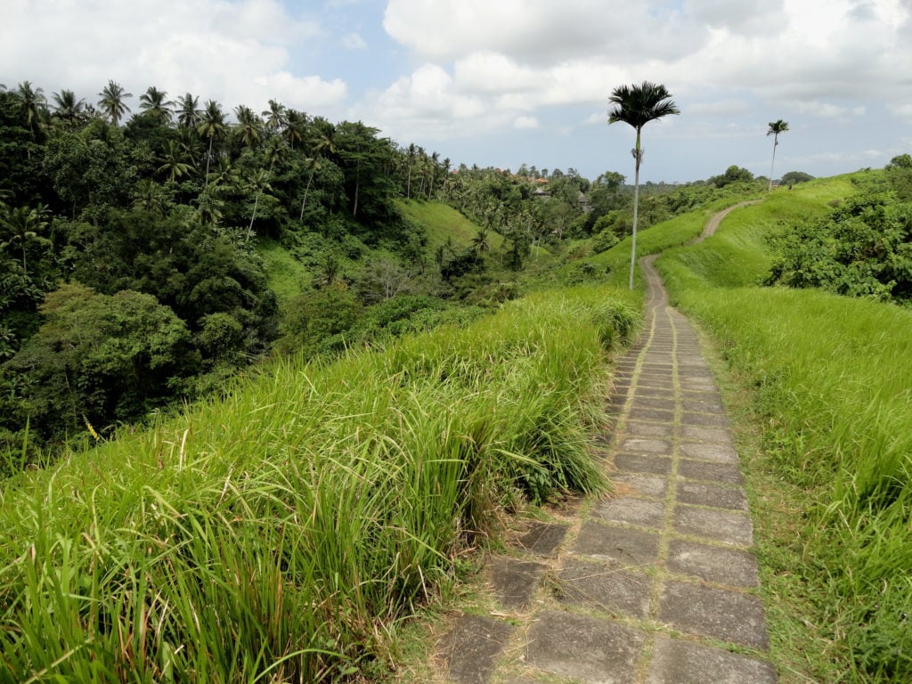 Campuhan Ridge Walk surrounded by lush greeneries