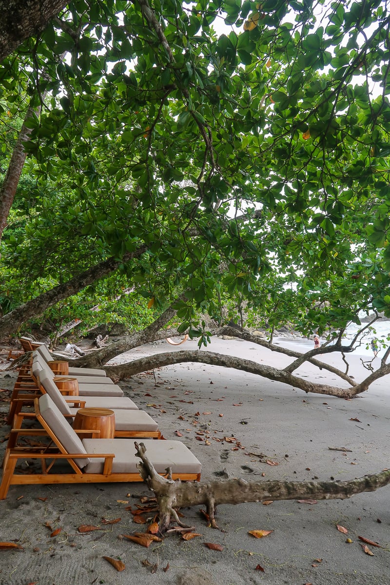 Lounge chairs on the beach at Arenas Del Mar