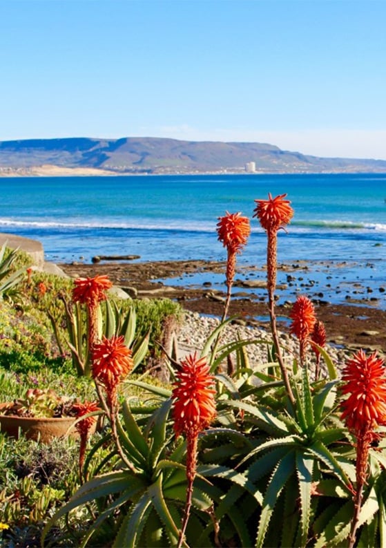 A Road Trip to Baja California, Mexico