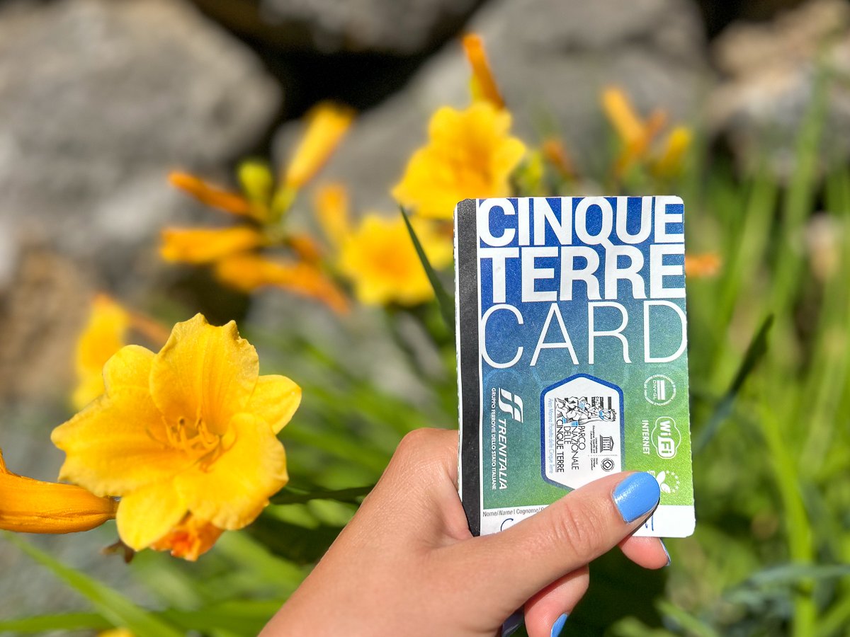 A hand holding a train pass with pretty yellow flowers in the background