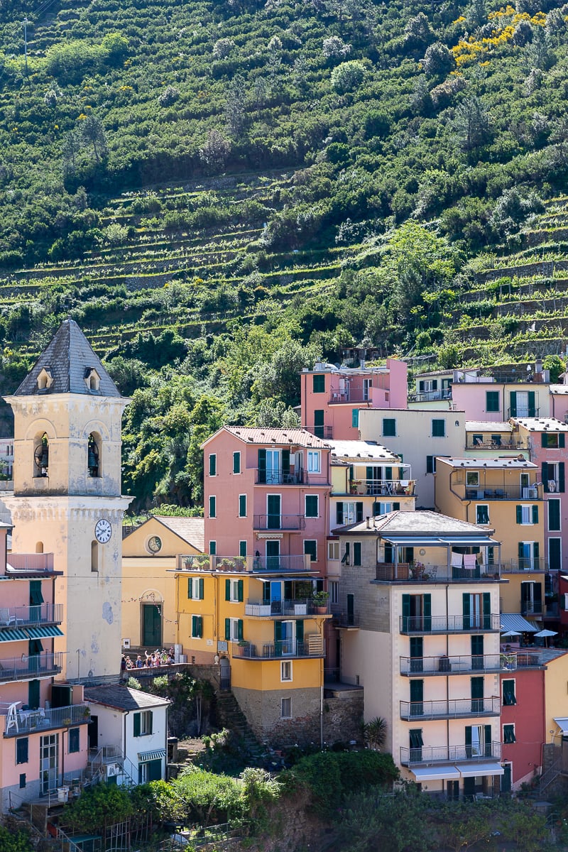 Terraced farms and colorful houses in Cinque Terre