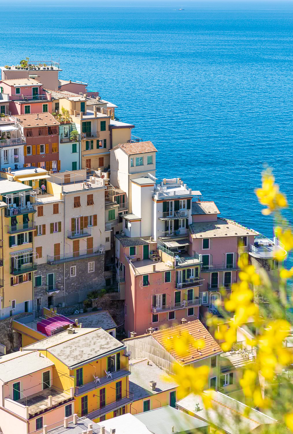 A gorgeous view of a colorful town during a day trip from Florence to Cinque Terre