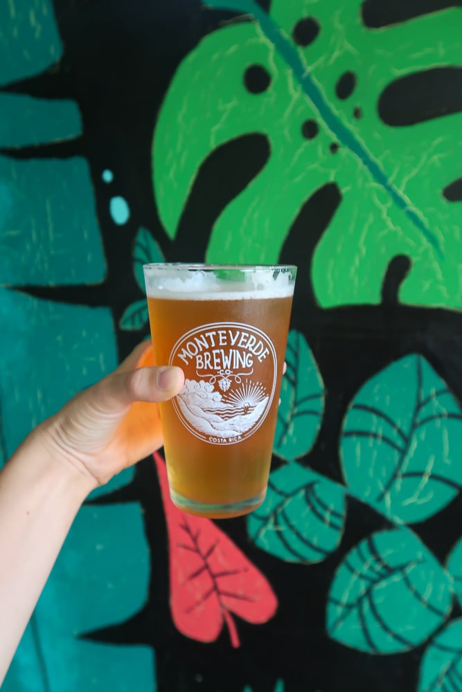 Holding up a glass of cold local craft beer at Monteverde Brewing Company
