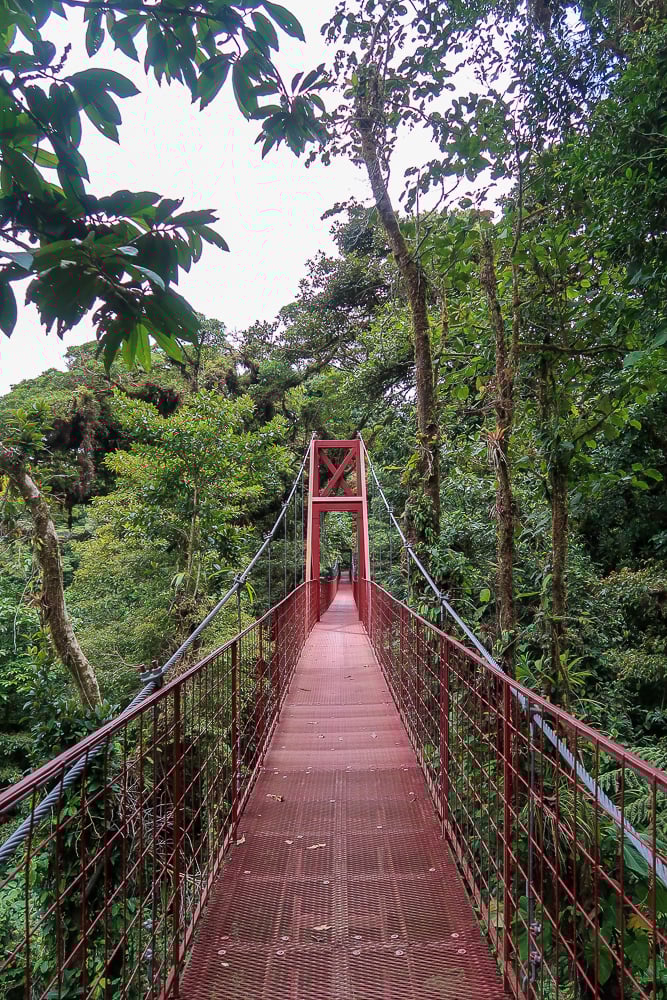 A bridge in Monteverde, Costa Rica