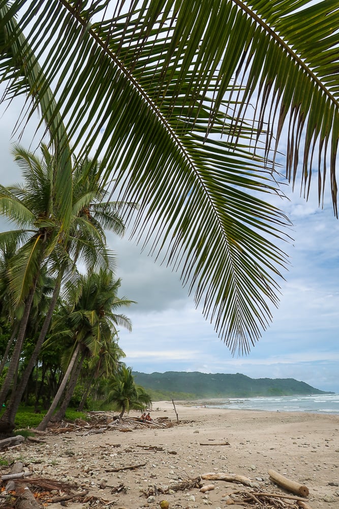 Quiet shore in Santa Teresa, Costa Rica