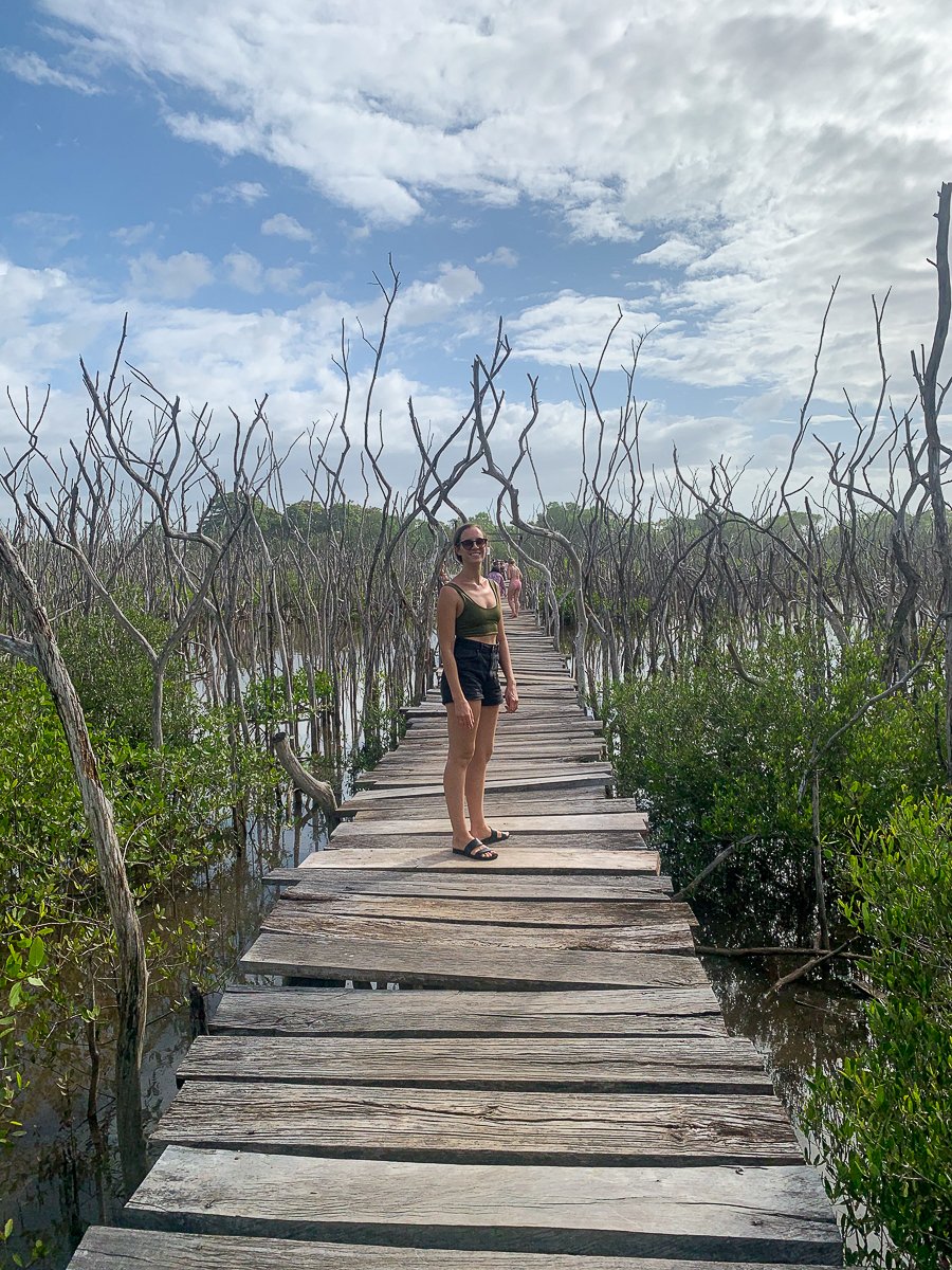 Maddy walking along the wooden boardwalk while exploring the mangroves in Playa Avellanas, Costa Rica
