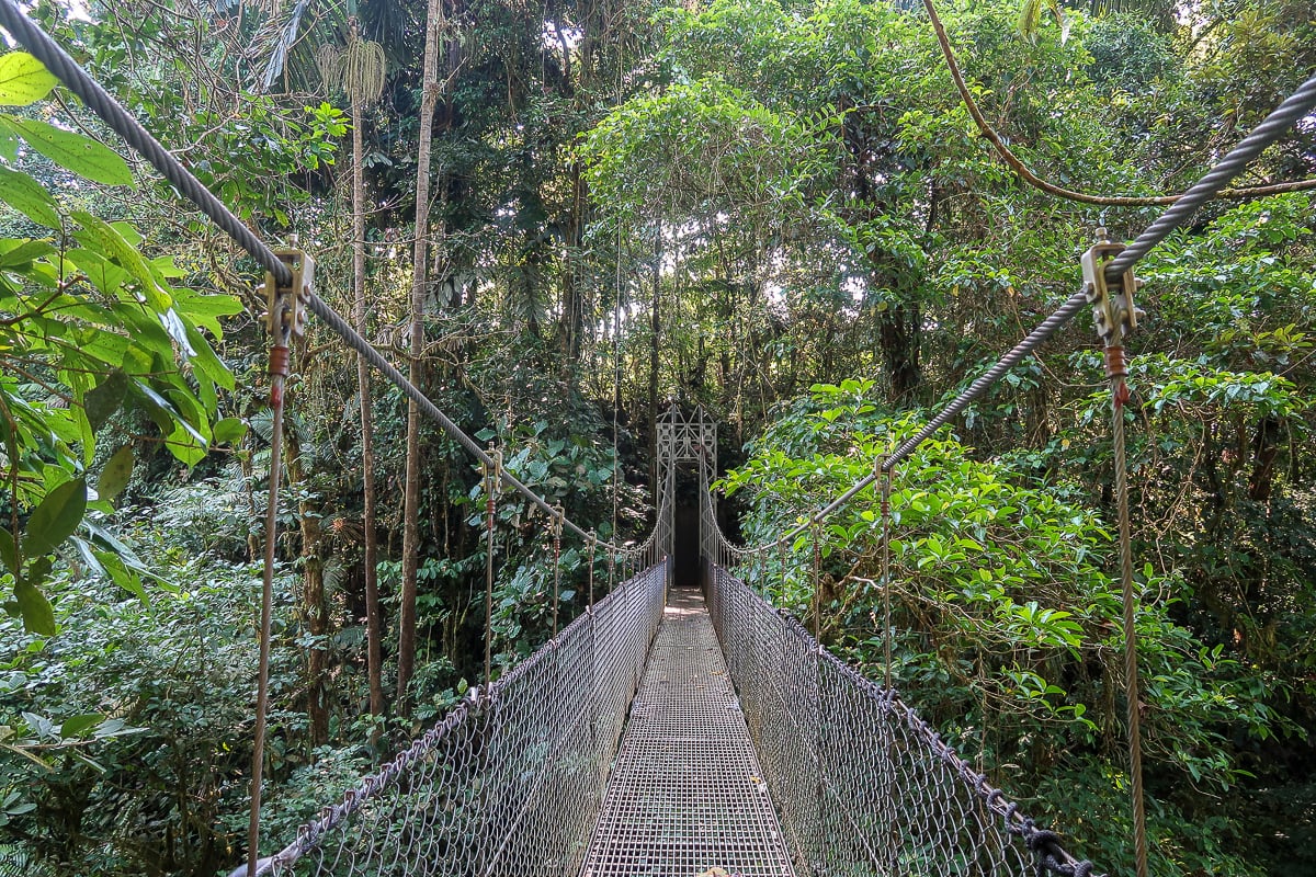 Hanging bridge in La Fortuna surrounded with lush forest trees