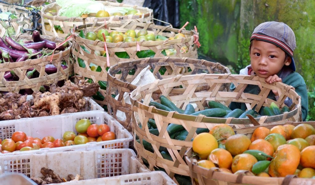 A child holding on one of the baskets filled with fresh fruits and vegetables