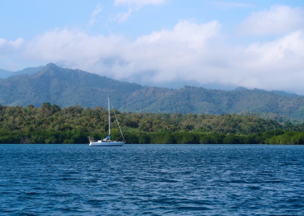 Boat cruising the blue sea waters near a lush jungle. During your three weeks in Bali, you can try snorkeling in Pemuteran to explore the marine wildlife.