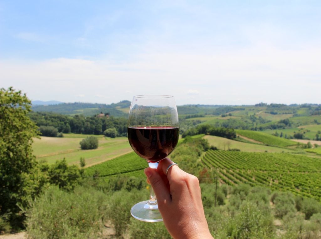 Holding up a glass of red wine with the farm on the background