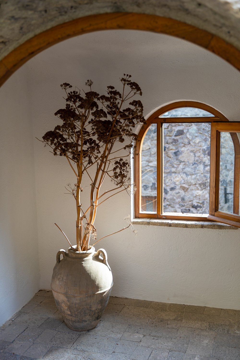 Tall plant in a jar taking in sunlight from a window behind it