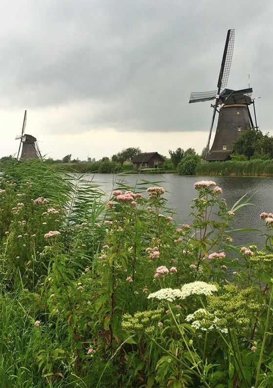 How to Take the Perfect Day Trip to the Kinderdijk Windmills, Netherlands