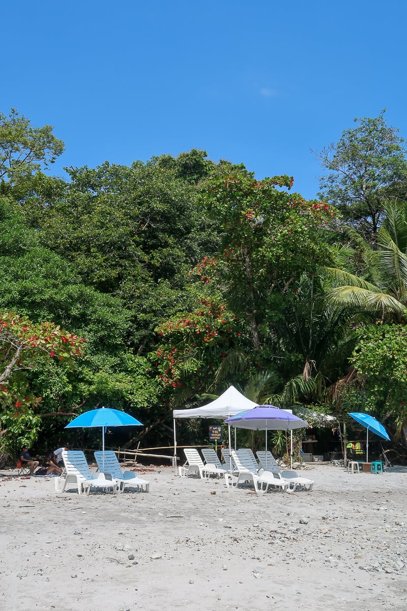Beach chairs and umbrellas at Biesanz Beach