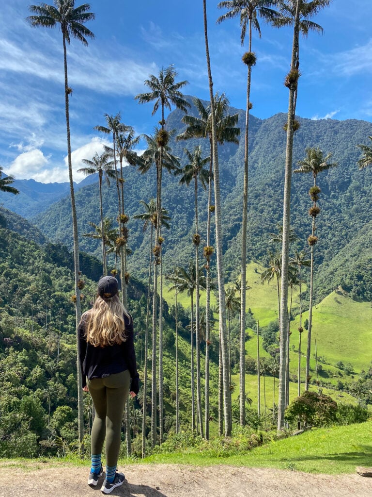 Maddy gazing upon the tall wax palm trees and lush green mountains of Cocora Valley under blue skies