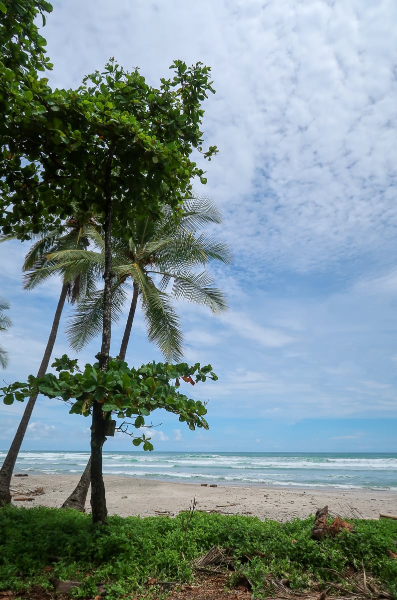 Palm trees and wavy beach in Montezuma - a must-include in your Costa Rica itinerary
