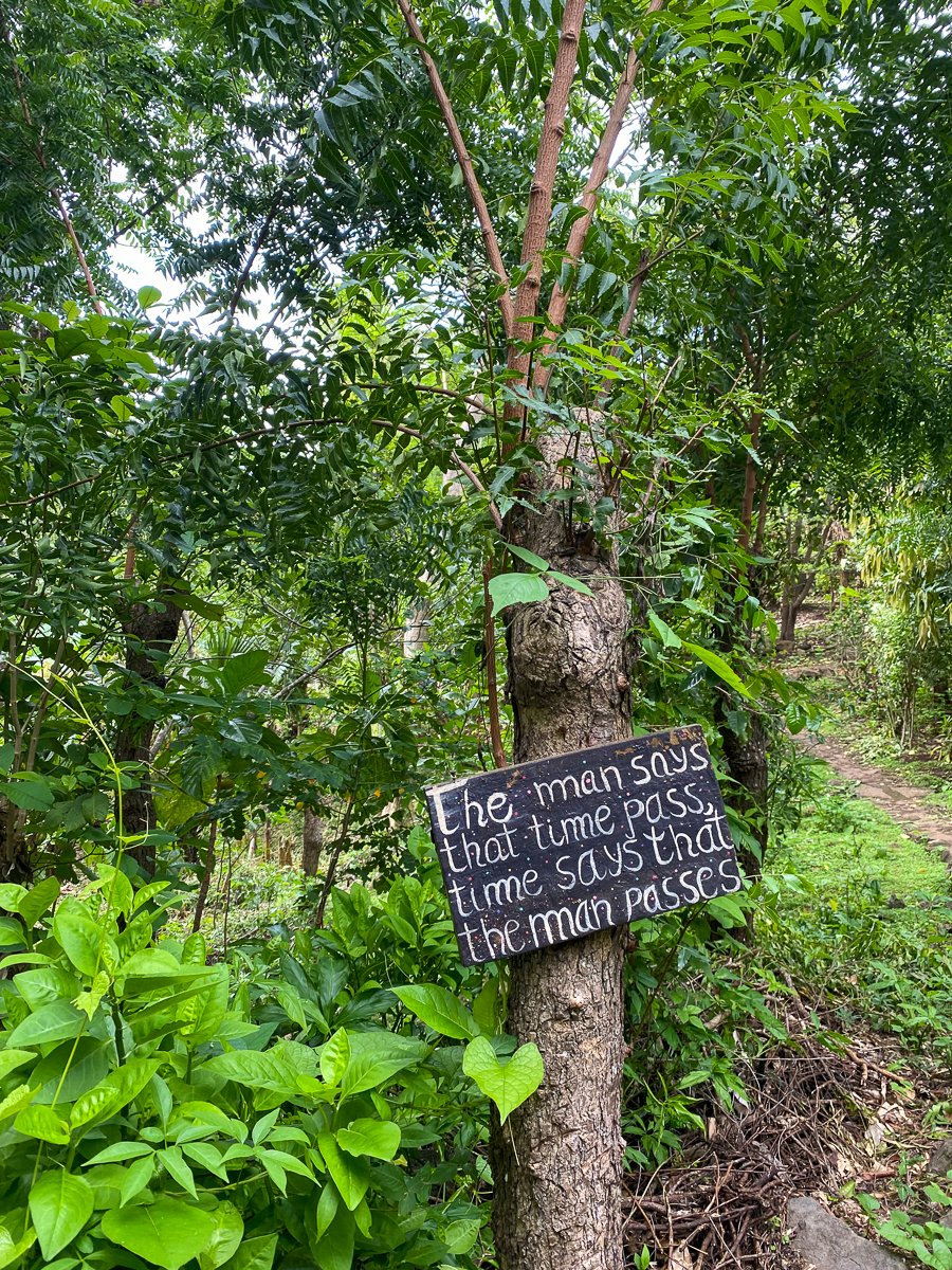 A sign on a tree that says "The man says that time pass; time says that the man passes."