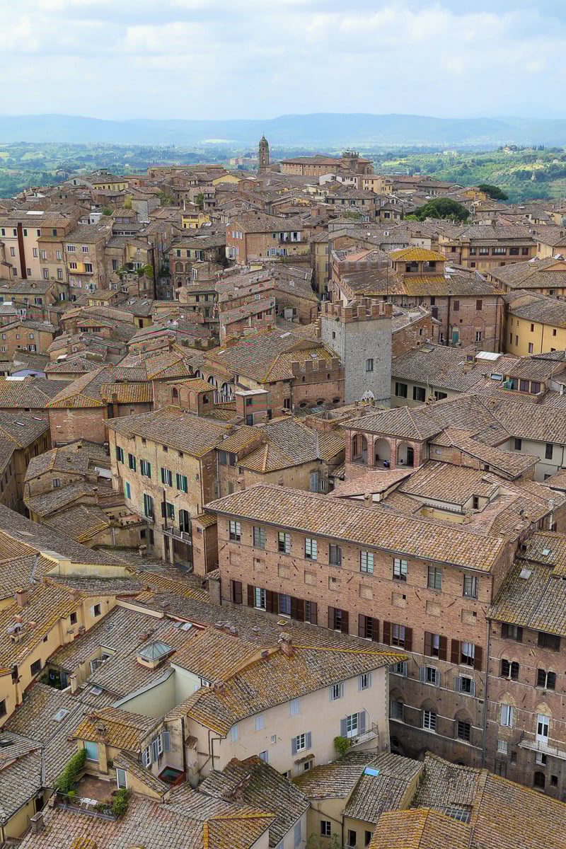 Brown roofs and buildings in the old city of Siena, Italy