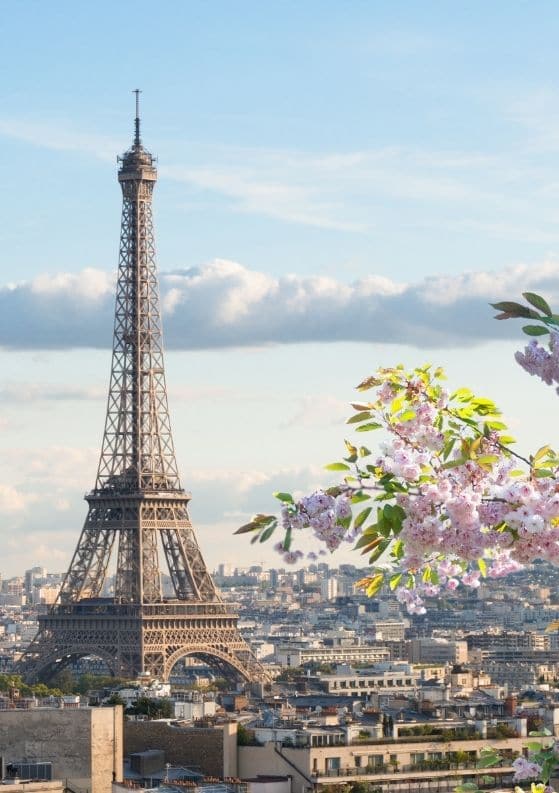 The Top 15 Free Things to Do in Paris