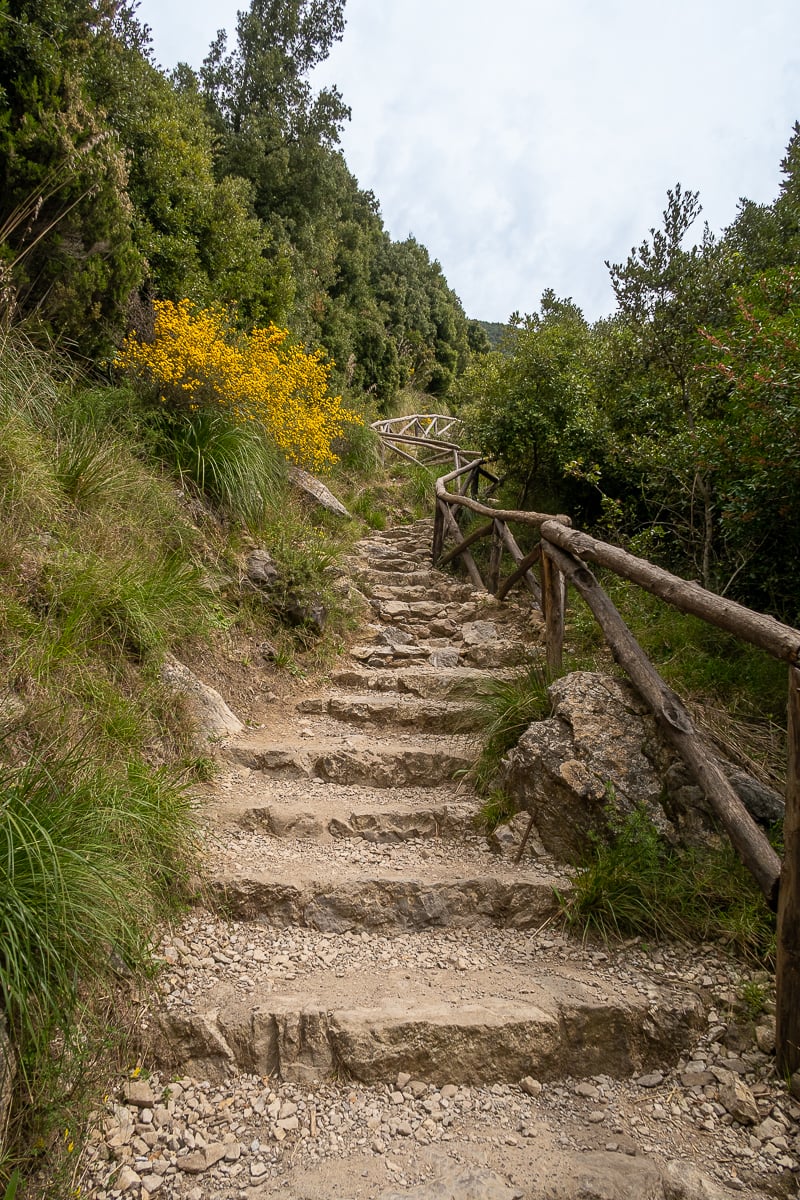 Stairway along the Path of the Gods surrounded with thick greeneries