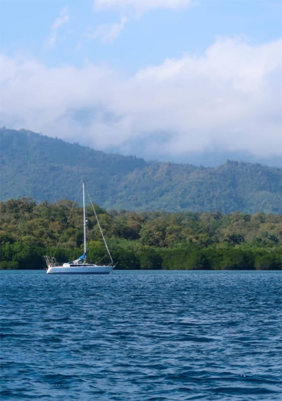 Ultimate Guide to Pemuteran, Bali: Best Things to Do in Pemuteran