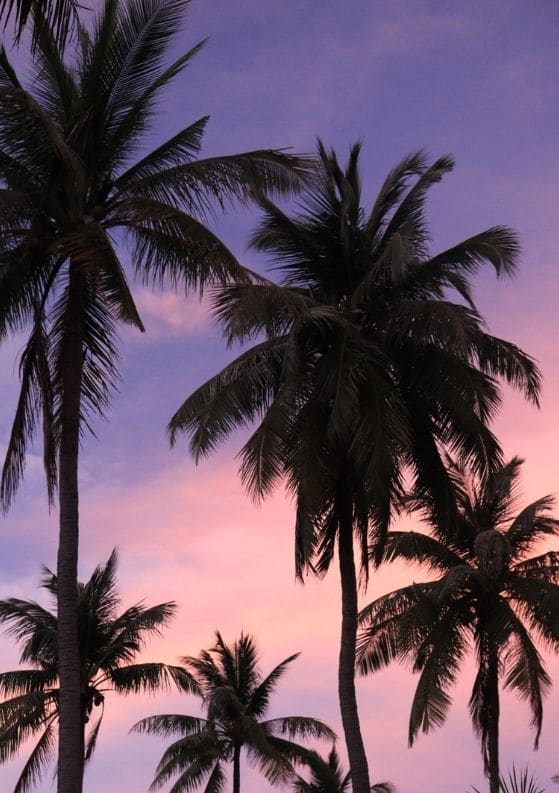 Let’s Go Island Hopping in Thailand: A Photo Essay