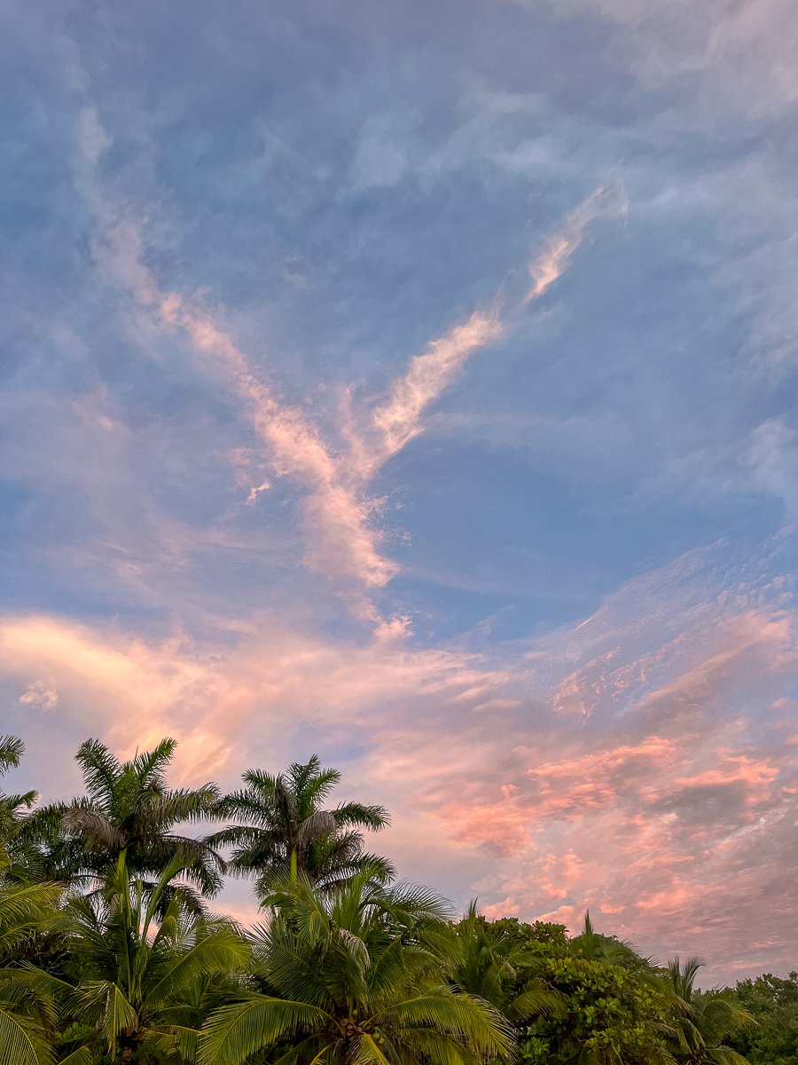 Colorful skies above tall palm trees in Playa Avellanas