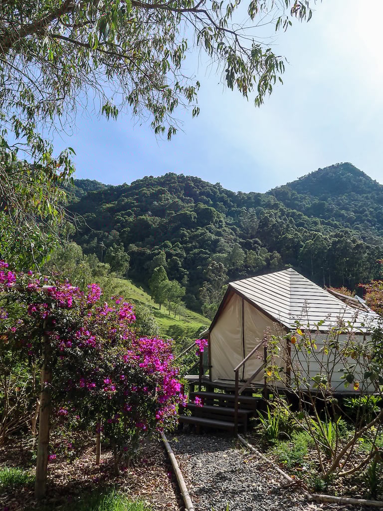 A white tent-cabin blended with the area's mountains, forests, and flowers. If you're looking for a place to stay in Salento, Lumbre Glamping is one of their best places.