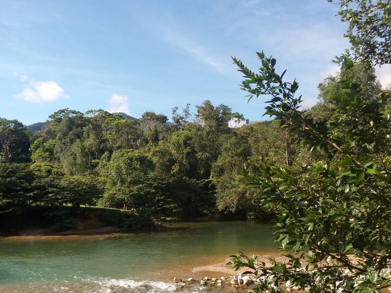 A quiet lake surrounded by lush forest trees in San Rafael, Colombia