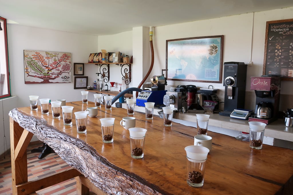Glass cups with dark-roasted coffee beans on a long wooden table