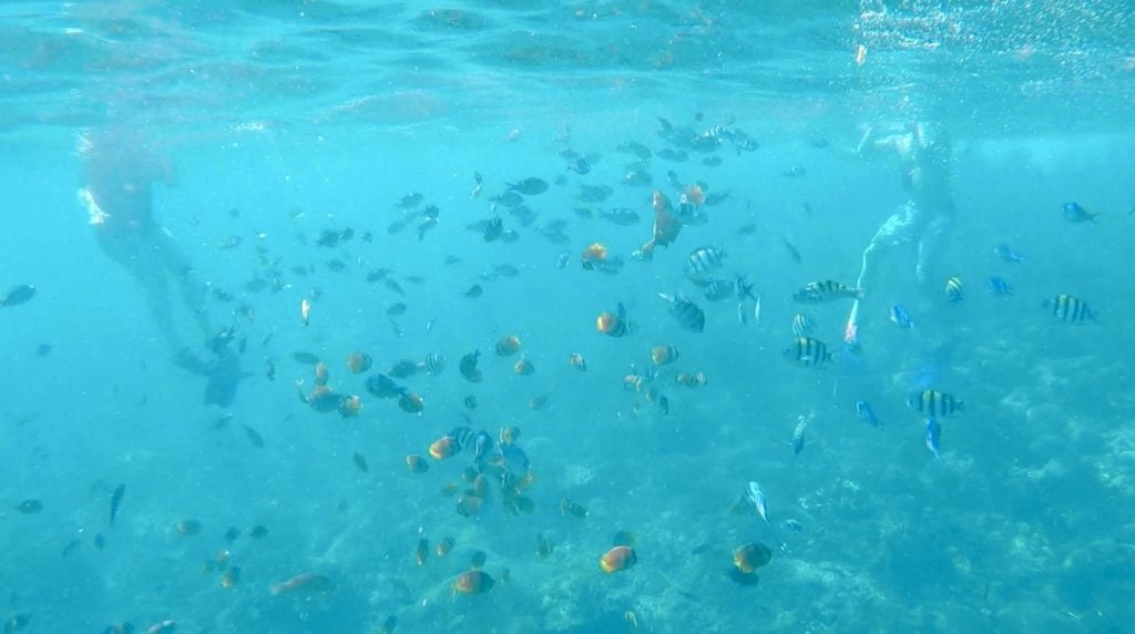Snorkeling in Crystal Bay