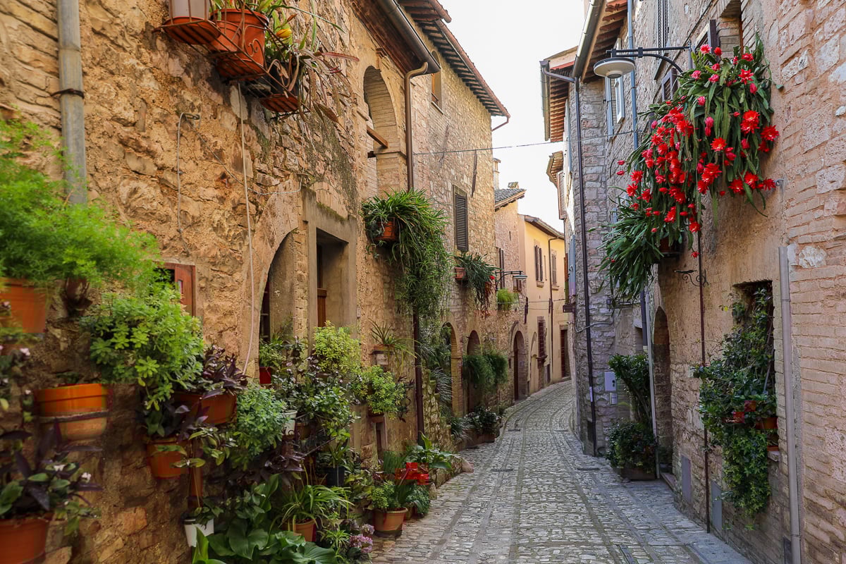 Beautiful narrow alley surrounded by stone houses and flowering plants