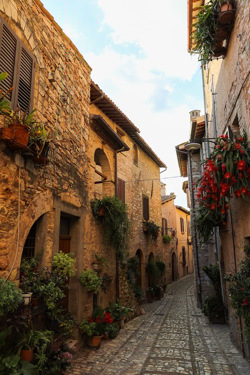 Narrow cobblestone alley between stone houses decorated with flowering plants
