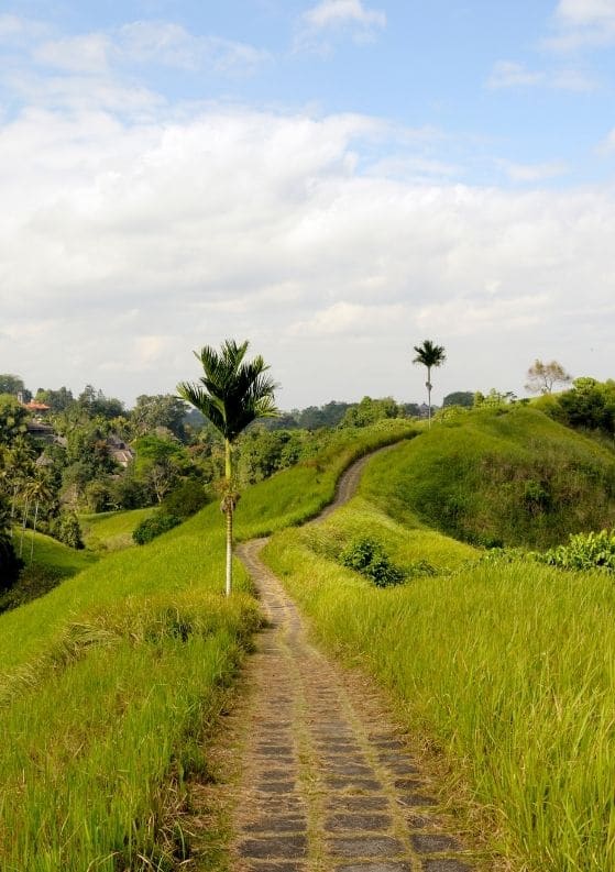Where to Stay in Ubud: The Maya Ubud