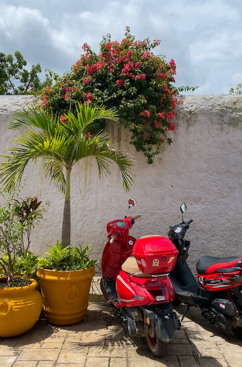 Colorful flowers, potted plants, and some scooters on a street in Valladolid on a cloudy day