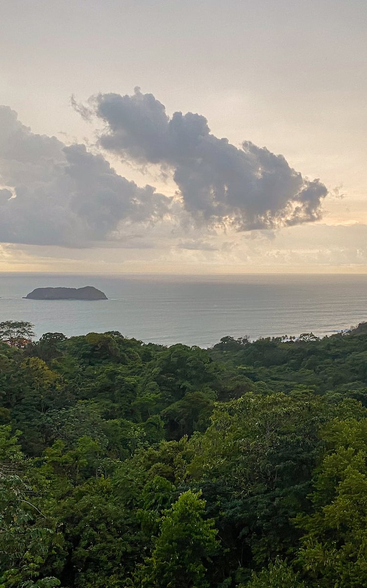 View of the ocean and lush jungle trees from El Avion