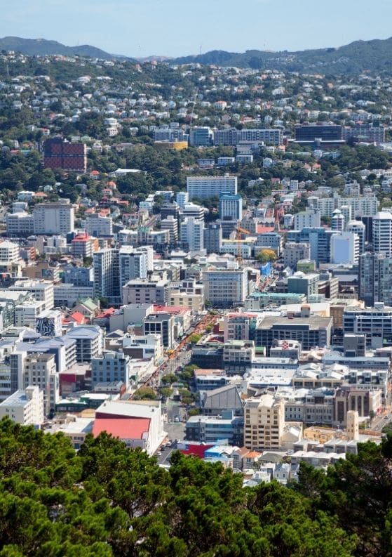 Wellington Foodie Guide: 10 Places to Eat & Drink in Wellington