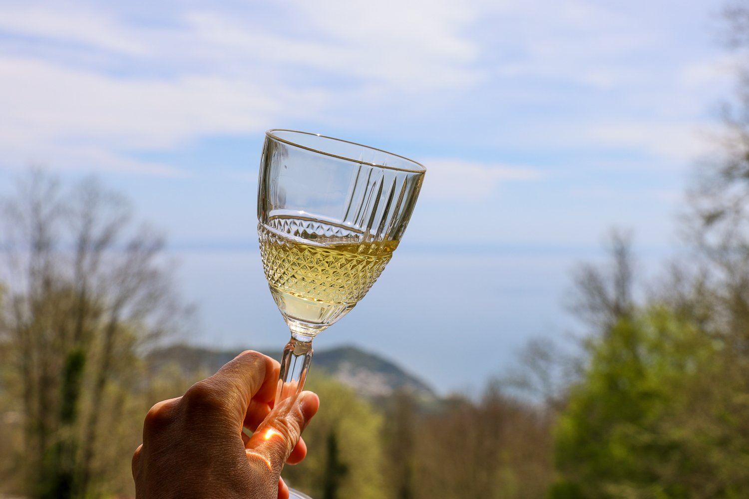 Holding up a glass of wine while visiting a vineyard in Ischia