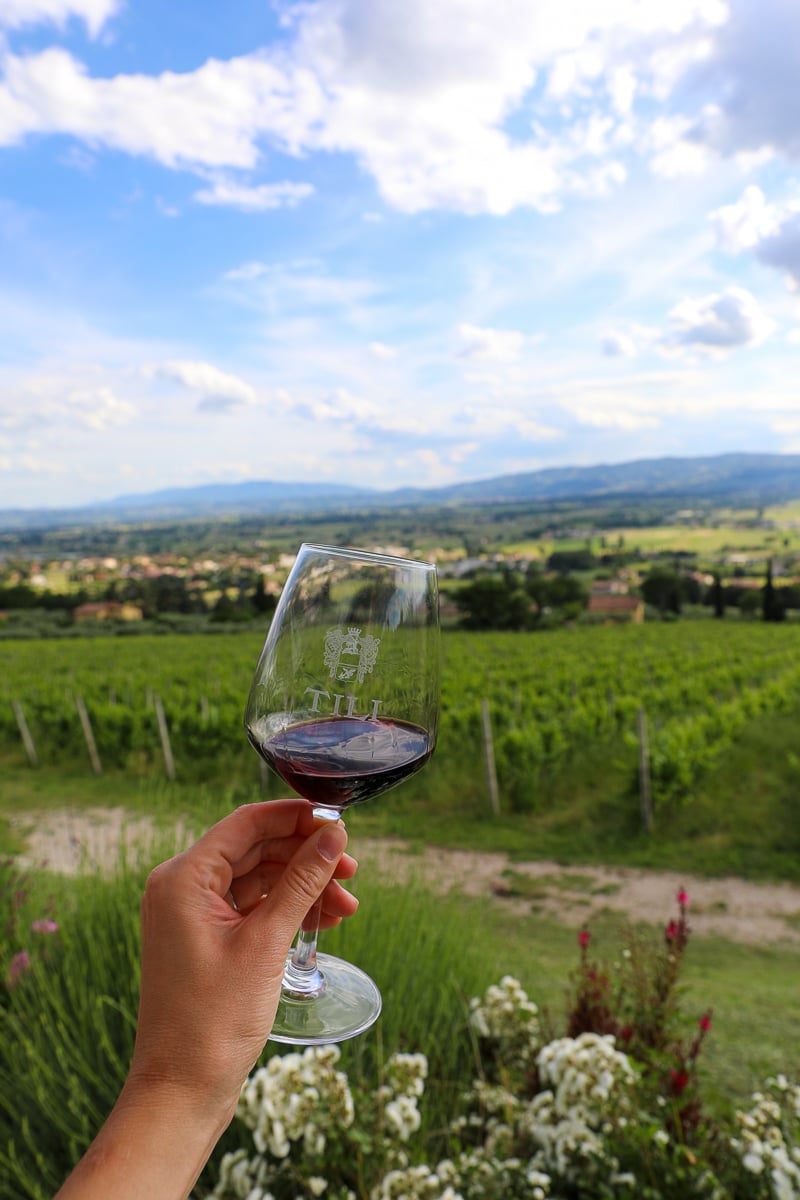 Holding up a glass of wine with a view of a vineyard on the background