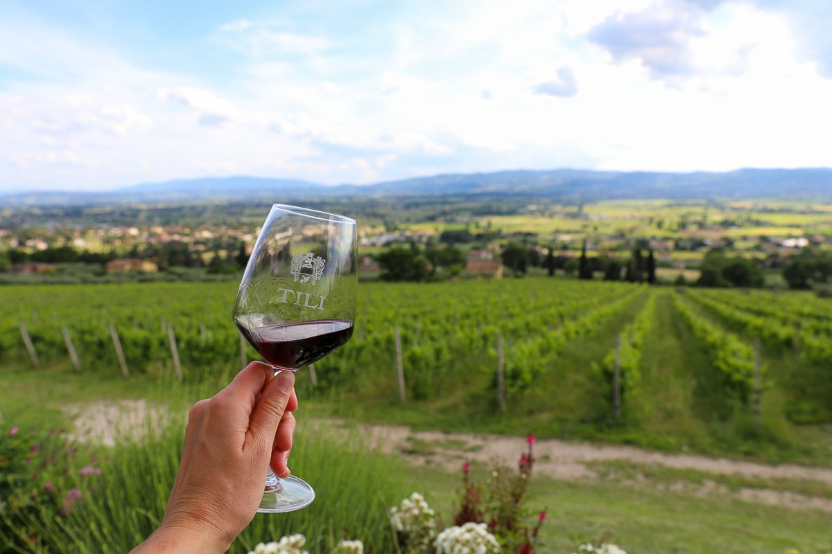 Holding up a glass of wine while visiting a vineyard to discover Spello