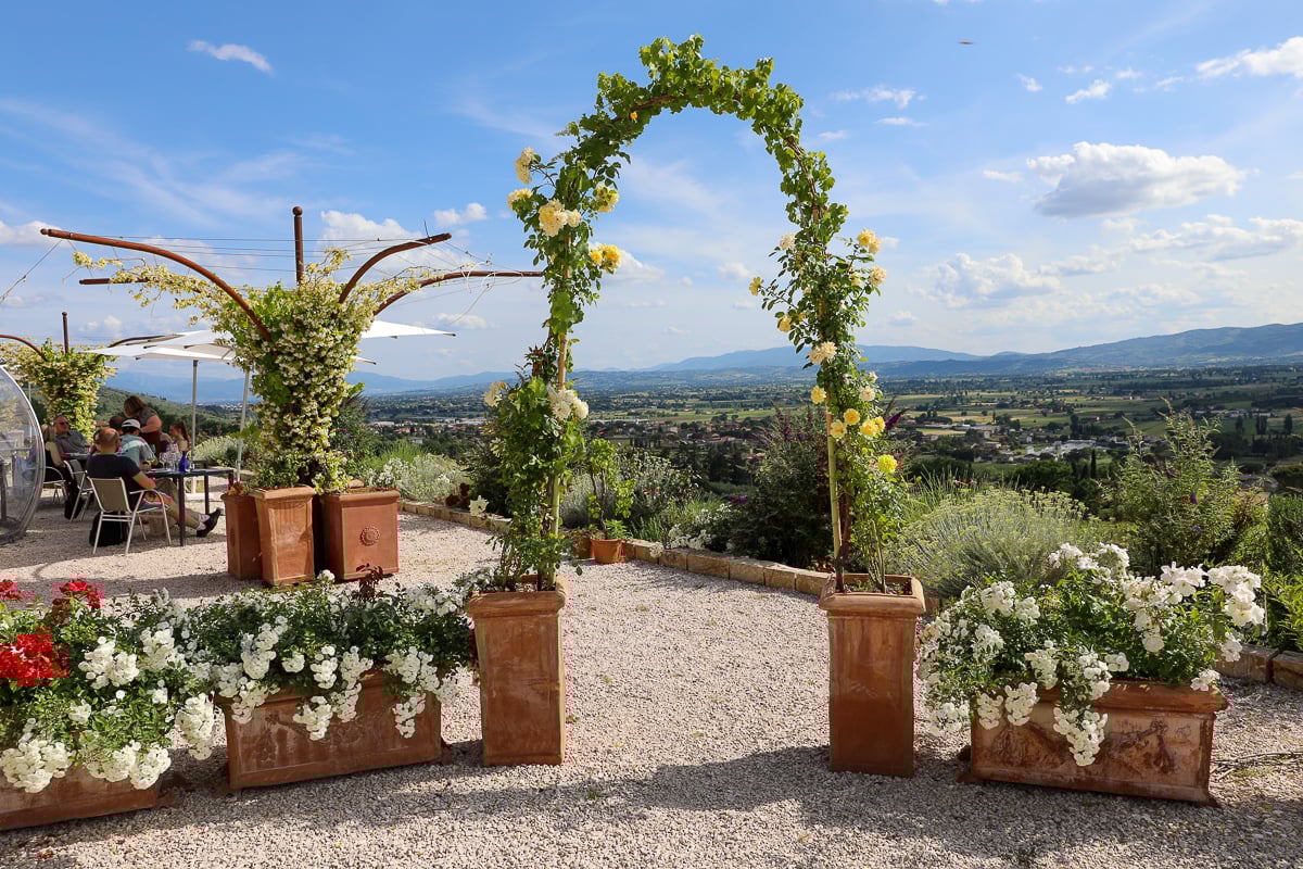 Beautiful garden arch filled with flowers in a local vineyard in Spello