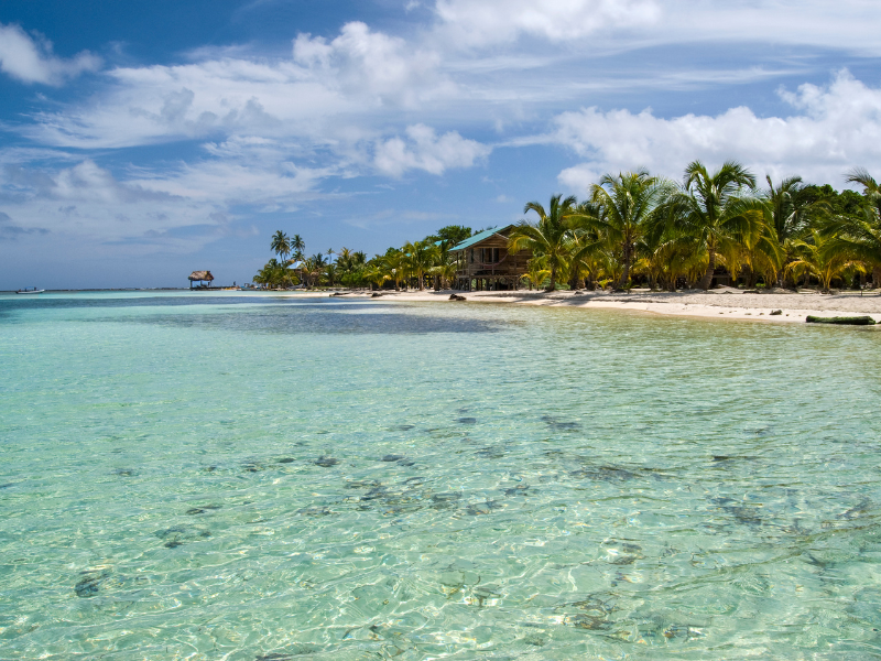 Amazingly clear water on the shore of a beach in Belize