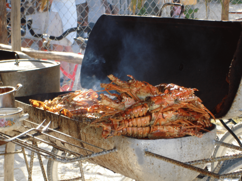 lobster on the grill in belize for the lobster festival