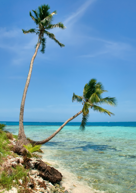27 Amazing Things to Do in Belize: Ultimate Belize Guide