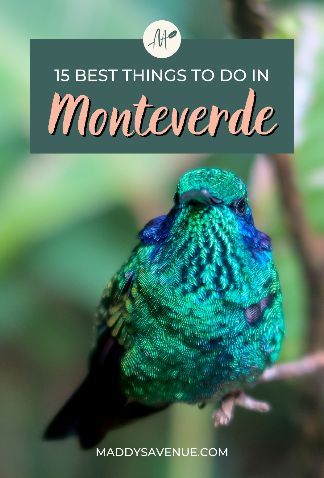Curious about what to do in Monteverde, Costa Rica? I’ve got you covered! From exploring the hiking trails (in daylight, and at night - in search of nocturnal animals!) and bird-watching, to zip-lining through the cloud forest canopy, there are so many incredible things to do in Monteverde, Costa Rica. In this travel guide to Monteverde, I’ll cover all of the best things to do in Monteverde, Costa Rica - as well as where to stay, the top places to eat, transportation tips, and must-know facts!