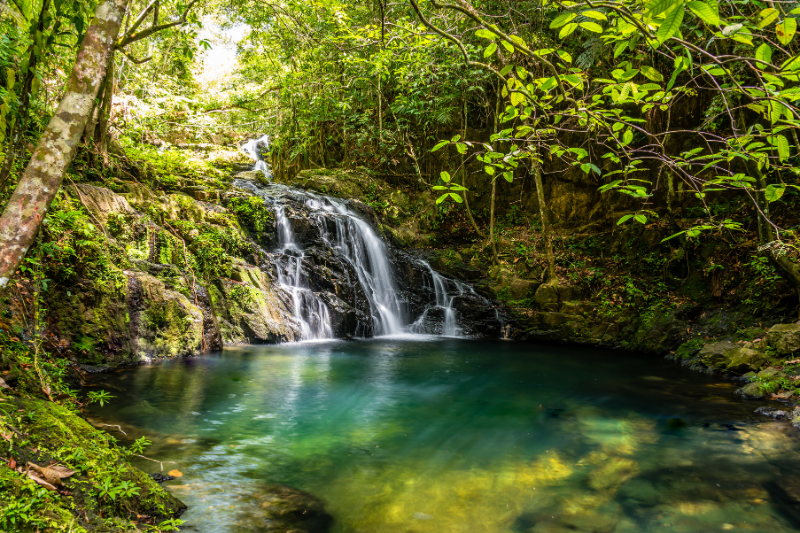 swimming hole in mayflower bocawina national park