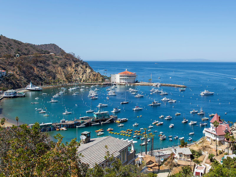 View of the Catalina Island harbor