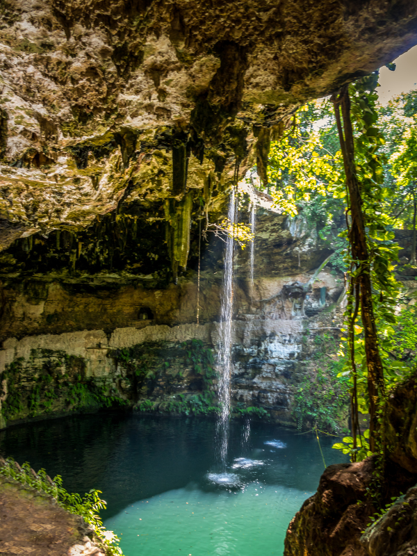 Relaxing view of Cenote Zaci. Swimming here is one of the things to do in Valladolid.