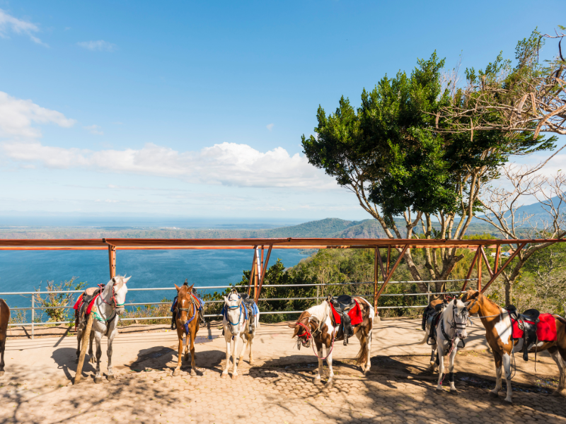 Horses at the lookout over Laguna de Apoyo during the rainy season in Nicaragua