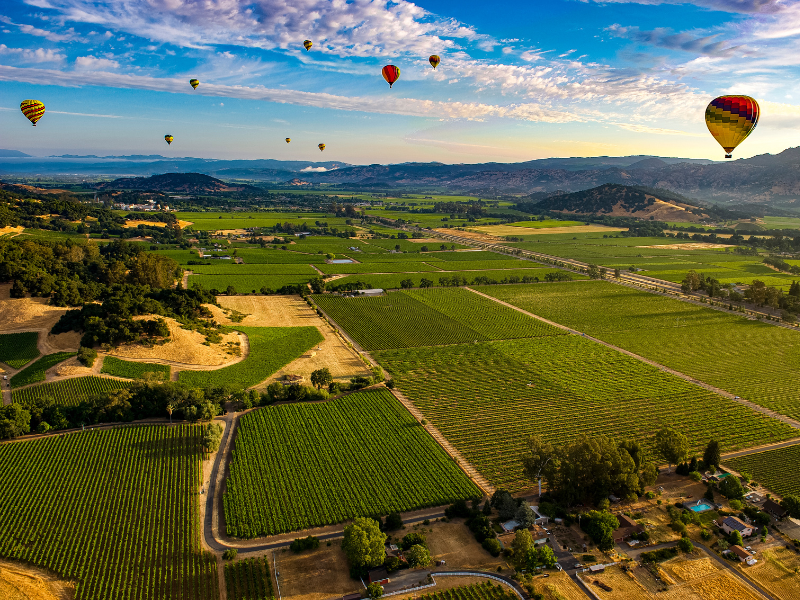 hot air balloons flying over rolling hills and vineyards in Napa Valley. Hot air ballooning is a must on your California bucket list!