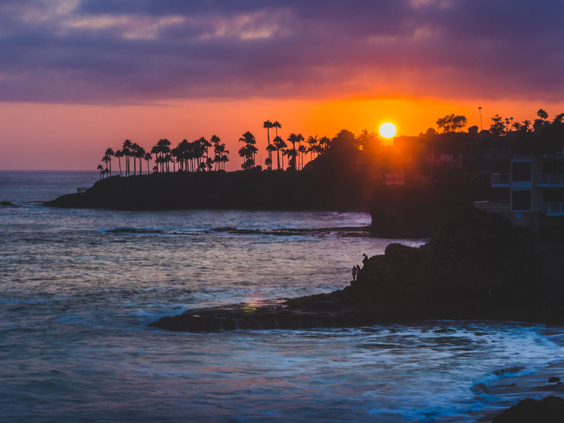 pink and orange sunset with palm trees in laguna beach, california - a top california destination